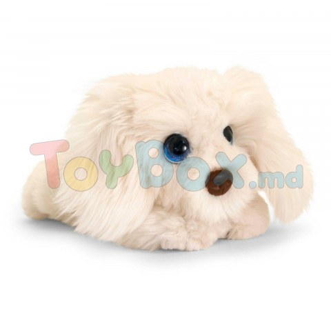 Keel Toys SD2543 Jucarie de plus Signature Cuddle Puppy Labradoodle, 32cm 