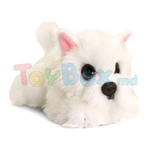 Keel Toys SD2548 Jucarie moale Signature Cuddle Puppy Westiei, 32cm 