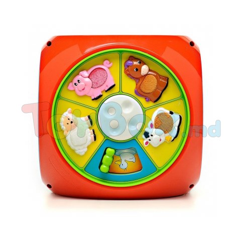 Kiddieland 049775 Joc educativ Multicub de Dezvoltare Muzical cu Lumini (Ru) (in asortiment)