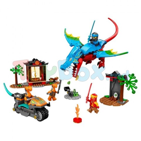 Lego Ninjago 71759 Конструктор Храм дракона