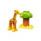 Lego Duplo 10971 Конструктор Дикие животные Африки