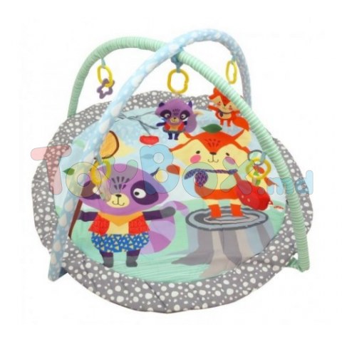 Baby Mix TK/3436PP Covoras educativ de joaca Raton