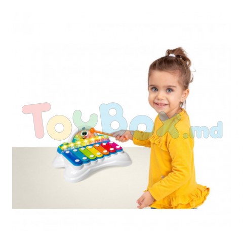 Chicco 981910 Jucărie muzicală Xylophone
