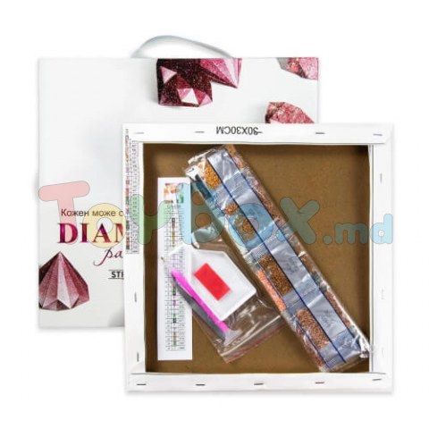 Strateg HX448 Mozaic cu diamante Prinzator de vise cu pene, 30х40 cm