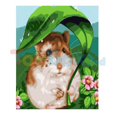 Strateg SS-6421 Pictura pe numere Hamster, 30x40 cm