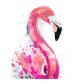 Strateg SY6337 Pictura pe numere Flamingo de aqurela, 40x50 cm