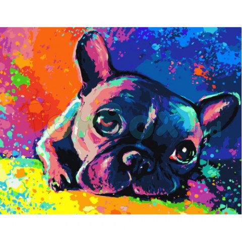 Strateg VA-1972 Pictura pe numere Buldog francez, 40x50 cm