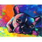 Strateg VA-1972 Pictura pe numere Buldog francez, 40x50 cm