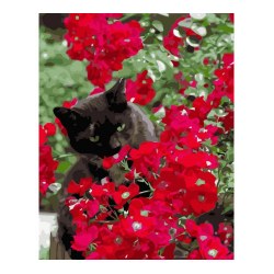 Strateg VA-3593 Pictura pe numere Motan in flori rosii, 40x50 cm
