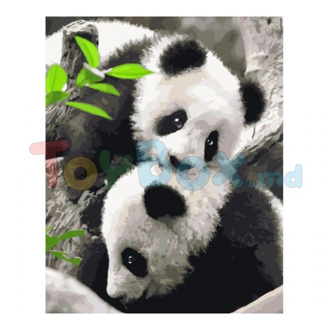 Strateg VA-3630 Pictura pe numere Panda, 40x50 cm