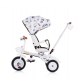 Chipolino трицикл складной 360 Futuro TRKFU0233SP space