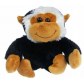 Take Me Home 660248 Maimuta cu sunete careface tumbe 25cm (in asortiment)