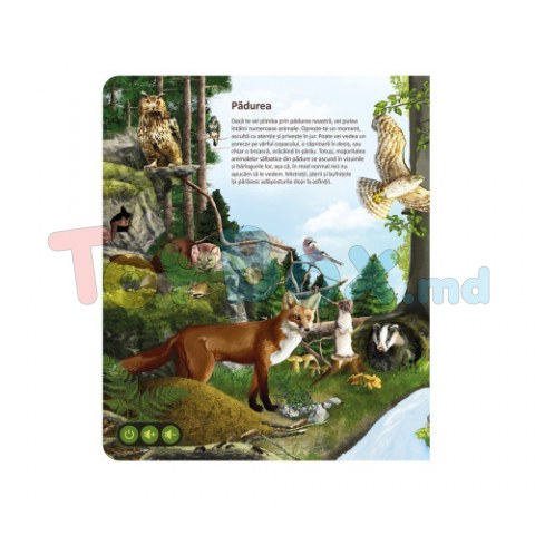 Raspundel Istetel 69436 Carte 