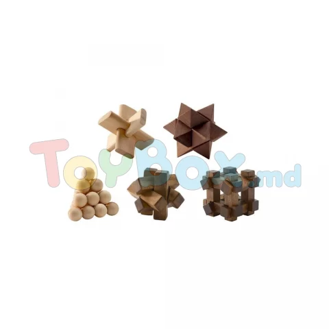 Djeco DJ08464 JOC DE LOGICA - Woodix