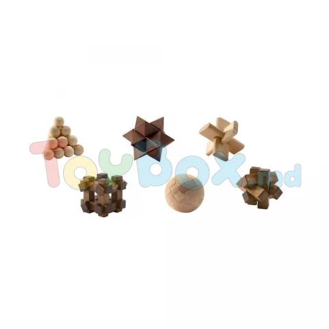 Djeco DJ08464 JOC DE LOGICA - Woodix
