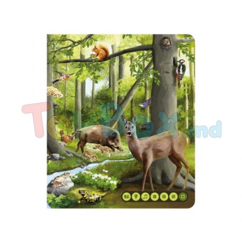 Raspundel Istetel 69366 Set Creionul electronic Albi și carte “Lumea animelelor”