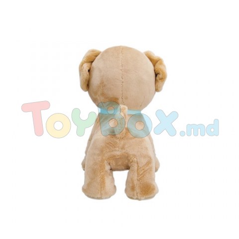 Club Petz 81314 Интерактивный щенок Майло