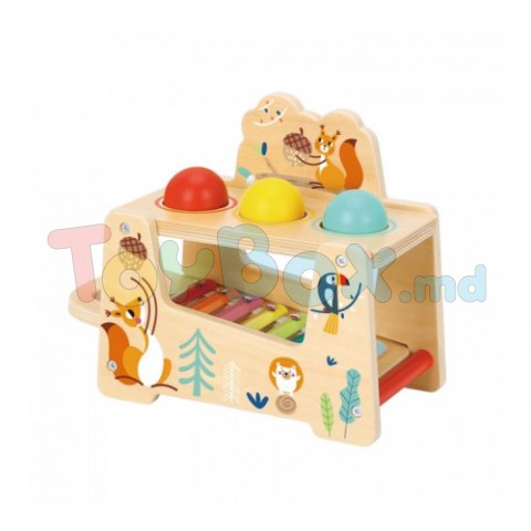 Tooky Toy TF827 Деревянная игрушка 2в1 