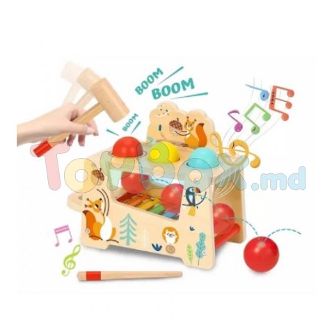 Tooky Toy TF827 Деревянная игрушка 2в1 