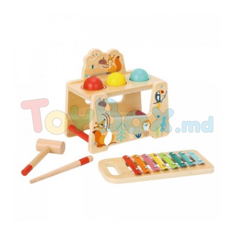 Tooky Toy TF827 Деревянная игрушка 2в1 