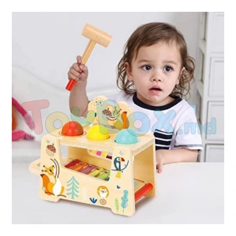 Tooky Toy TF827 Деревянная игрушка 2в1 
