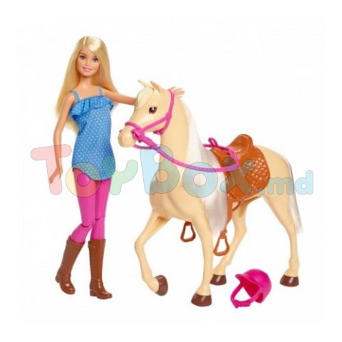 Barbie FXH13 Set 