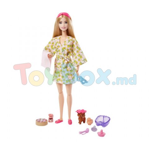 Barbie HKT90 Papusa Barbie 